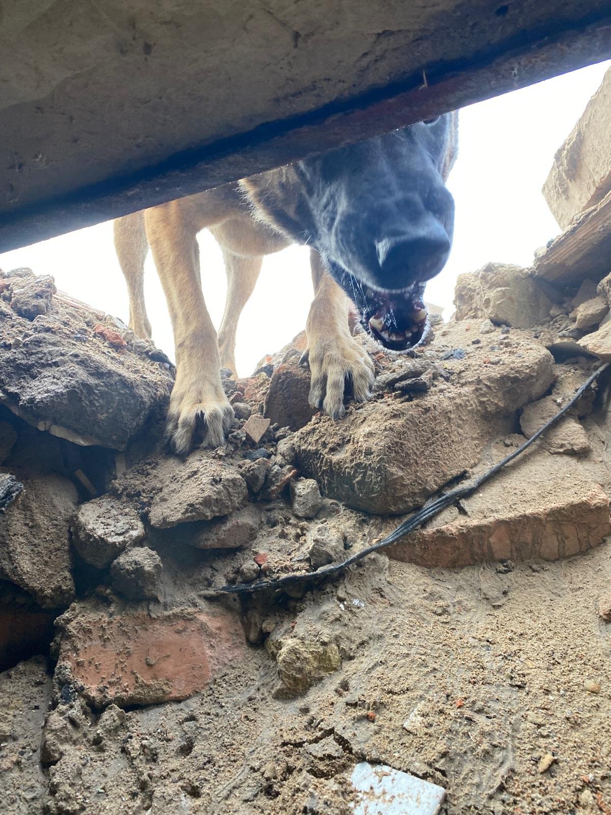 24.1. 2026 kasárna Pardubice